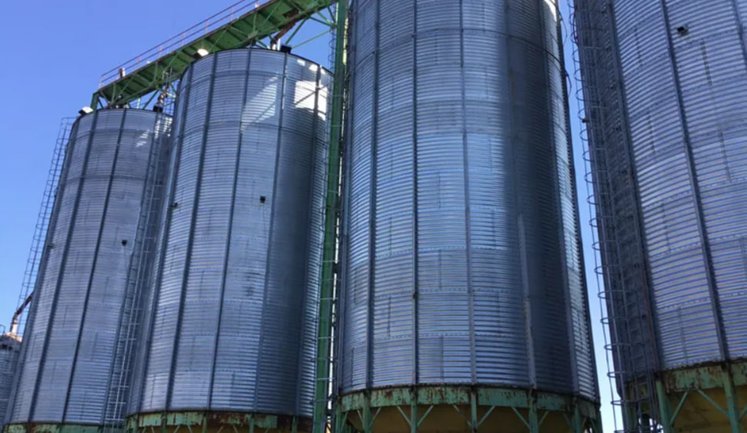 Фонд держмайна виставив на приватизацію недобудований борошномельний комплекс на Київщині. ФОТО