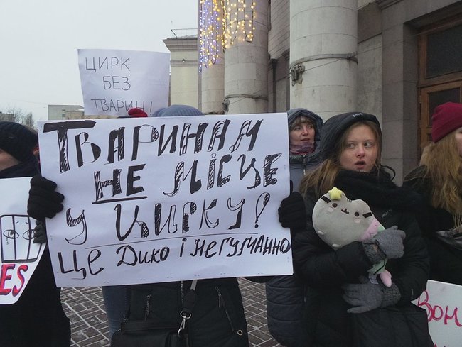 Страждання - це НЕ смішно! У Києві протестували проти використання тварин у цирку 17