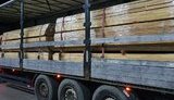 Контрабанда ценной древесины в страны ЕС на сумму около 800 тыс. грн предотвращена на Закарпатье, - СБУ. ФОТО