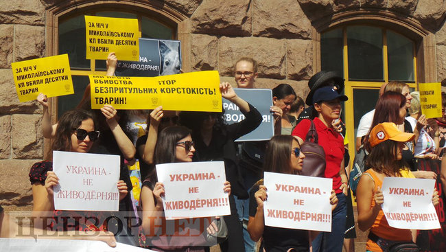 Ми втомилися від безкарності збоченців: Учасники Всеукраїнської акції Україна - не шкуродерня мітингували під КМДА 17