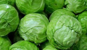 В Україні почали продавати вітчизняну ранню капусту: які ціни за кілограм?