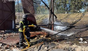 Окупанти вдарили "Бандеролями" по агропідприємству на Чернігівщині: знищено 200 тонн ріпаку. ФОТОрепортаж