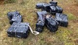 Прикордонники на Волині припинили контрабанду з Білорусі 25 тис. медпрепаратів і 2 тис. пачок цигарок. ФОТОрепортаж