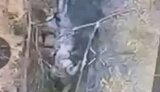 Россиянин добивает раненого соратника