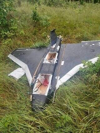 Гербера у Литві