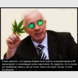Жить станет веселей