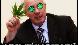 Жить станет веселей