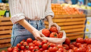 В Україні знову подорожчали помідори: яка ціна за кілограм?