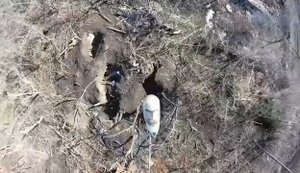 Пограничники "Шквала" уничтожили 4 укрытия и средства связи врага в Харьковской области. ВИДЕО