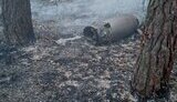 Внаслідок обстрілу РФ 30 вересня на Київщині виникли лісові пожежі