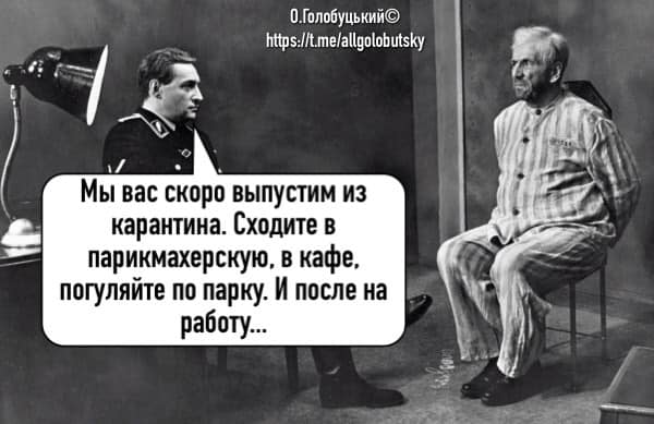 Силиконовый диктатор, секрет назначения Саакашвили, инновационно-антикризисный план. Свежие ФОТОжабы от Цензор.НЕТ 08