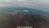 знищення гербер