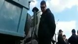 позняки