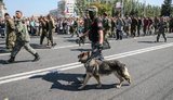 терроризм донецк