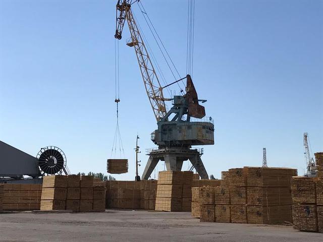 Налоговики раскрыли схему незаконного экспорта леса и пиломатериалов в Херсоне 03