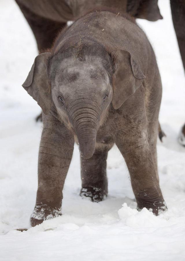 Цензор.НЕТ Изображение