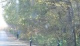 Енакиево встречает Януковича: пустые улицы и очень много милиции. ФОТО