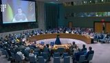 оон,зеленський,радбез