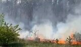 лесной пожар в Харьковской области