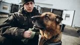Нацгвардія закупила новий транспорт для службових собак. ФОТОрепортаж