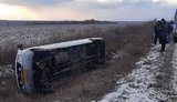Микроавтобус с 20 детьми попал в ДТП в Запорожской области, - Нацполиция. ФОТО