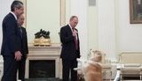 Самая невежливая из собак
