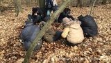 мигранты