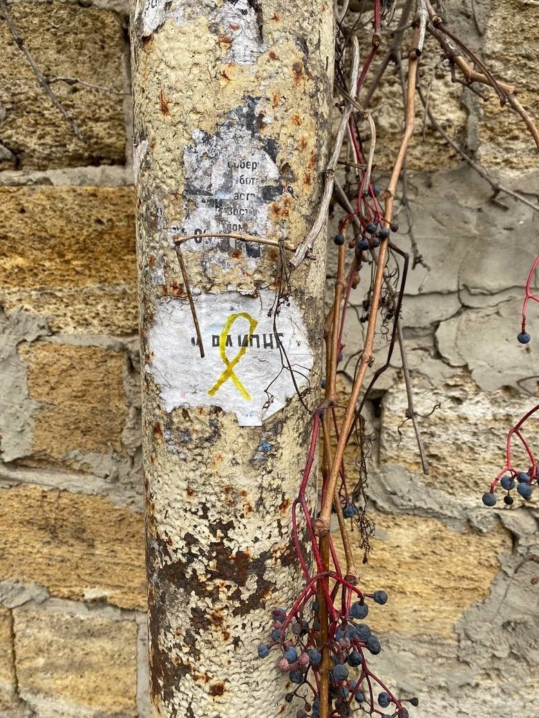 Donetsk, Luhansk, Enerhodar, Melitopol and Henichesk: in occupied cities, resistance forces distribute patriotic leaflets 12 Donetsk, Luhansk, Enerhodar, Melitopol and Henichesk: in occupied cities, resistance forces distribute patriotic leaflets 12