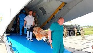 В Одесу літаком доставили 12 поранених військовослужбовців, п'ятеро - у важкому стані, - волонтер Танцюра. ФОТОрепортаж