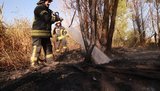 Пожежу на звалищі в Дарницькому районі Києва ліквідовано, - ДСНС