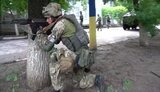 Десантники ЗСУ провели навчання зі знищення ДРГ противника в міських умовах. ВIДЕО