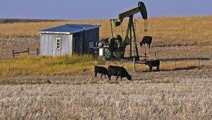 Цены на нефть близки к завершению недели ростом