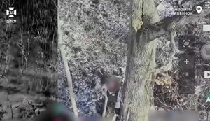 Окупант помахав "привіт" дрону прикордонників та отримав миттєвий скид. ВIДЕО