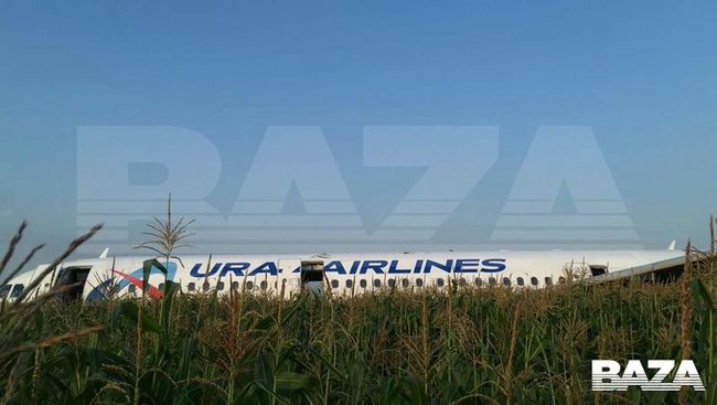 Crimea-bound passenger jet makes emergency landing in cornfield near Moscow 02