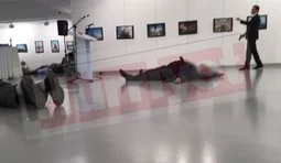 турция посол карлов