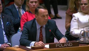 Sikorski at UN Security Council - to Russian government: "You have been warned"