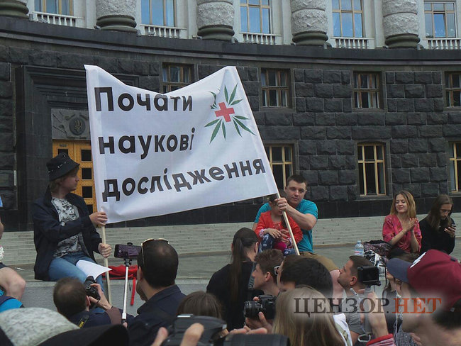 Начать научные исследования: под Кабмином требовали легализовать марихуану 03