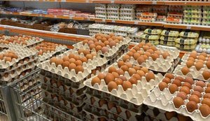 Перед Великоднем в Україні різко подорожчали яйця: які ціни в супермаркетах?