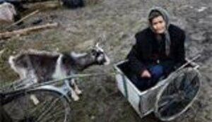 Босния на грани гражданской войны, - The Telegraph