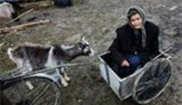 Босния на грани гражданской войны, - The Telegraph