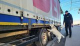 Самые горячие точки контрабанды назвали в Гостаможслужбе