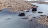 "У Коктебелі справжня екологічна катастрофа": Окупований курорт напередодні туристичного сезону. ФОТОрепортаж