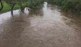 Через дощі можливі підтоплення у західних областях, - ДСНС