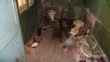 "Покращення" социального жилья: Мать с тремя детьми поселили в комнаты в доме с бомжами. ФОТОрепортаж+ВИДЕО