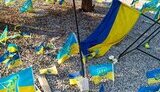 Полиция Днепра установила мужчину, который совершил хулиганские действия на Аллее памяти погибших Героев