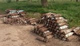 В Запорожской области местные жители воровали отработанные боеприпасы под руководством начальника охраны военного объекта, - СБУ. ВИДЕО+ФОТОрепортаж