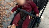 Загинула однорічна Ангеліна у візочку та 11-річна дівчинка у Новій Водолазі на Харківщині, - Зеленський. ФОТО