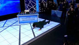 кадиров