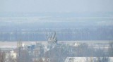 Привет от 