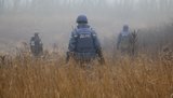 На участке разведения сил Петровское-Богдановка разминировано 17,6 га, - ГСЧС. ФОТО